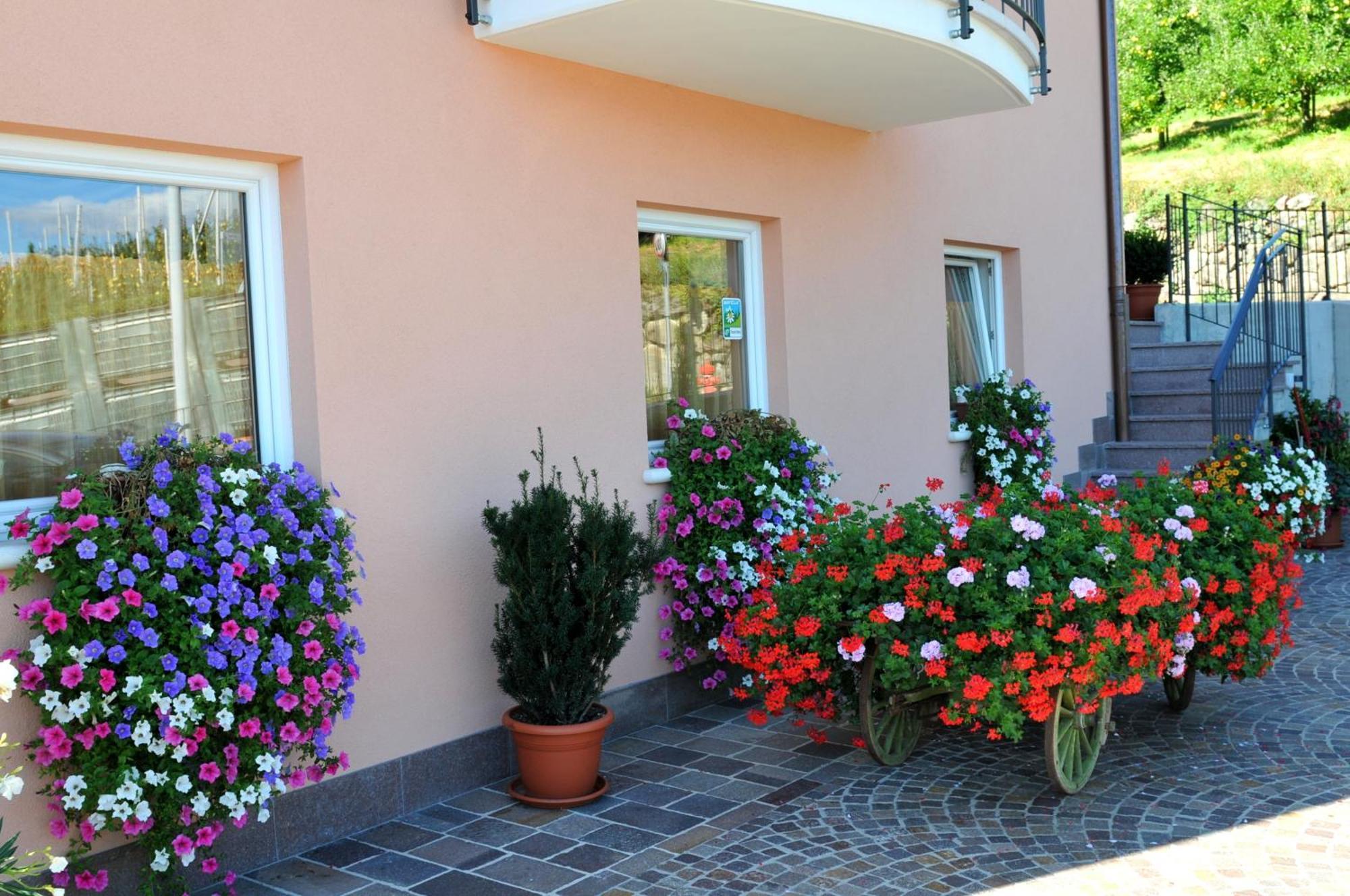 Tassullo Agritur Le Pergoletteヴィラ エクステリア 写真