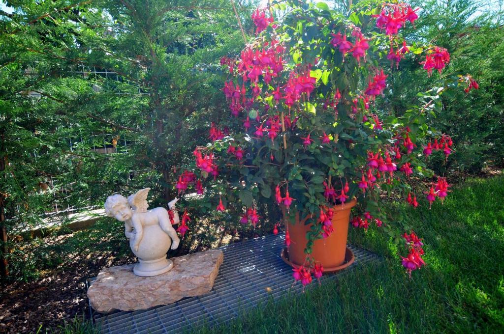 Tassullo Agritur Le Pergoletteヴィラ 部屋 写真